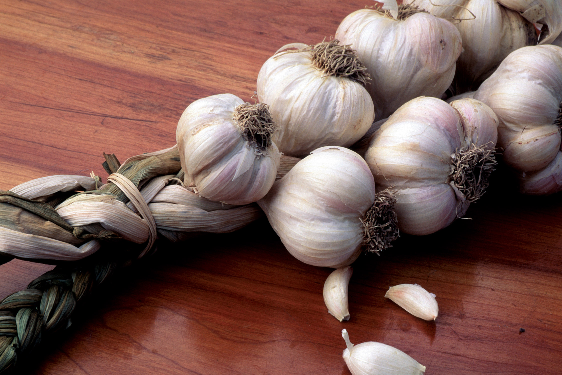 garlic