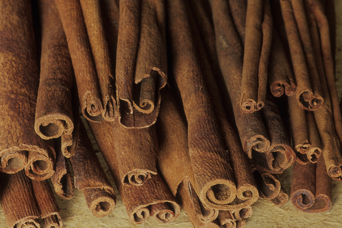 Cinnamon plant