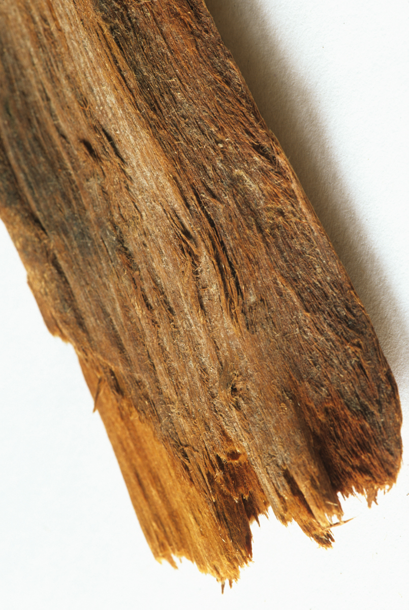 yohimbe bark