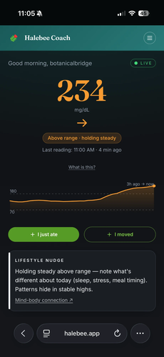 Halebee Coach live view showing a 234 mg/dL glucose reading above range, holding steady, with a lifestyle nudge and quick-log buttons for meals and movement