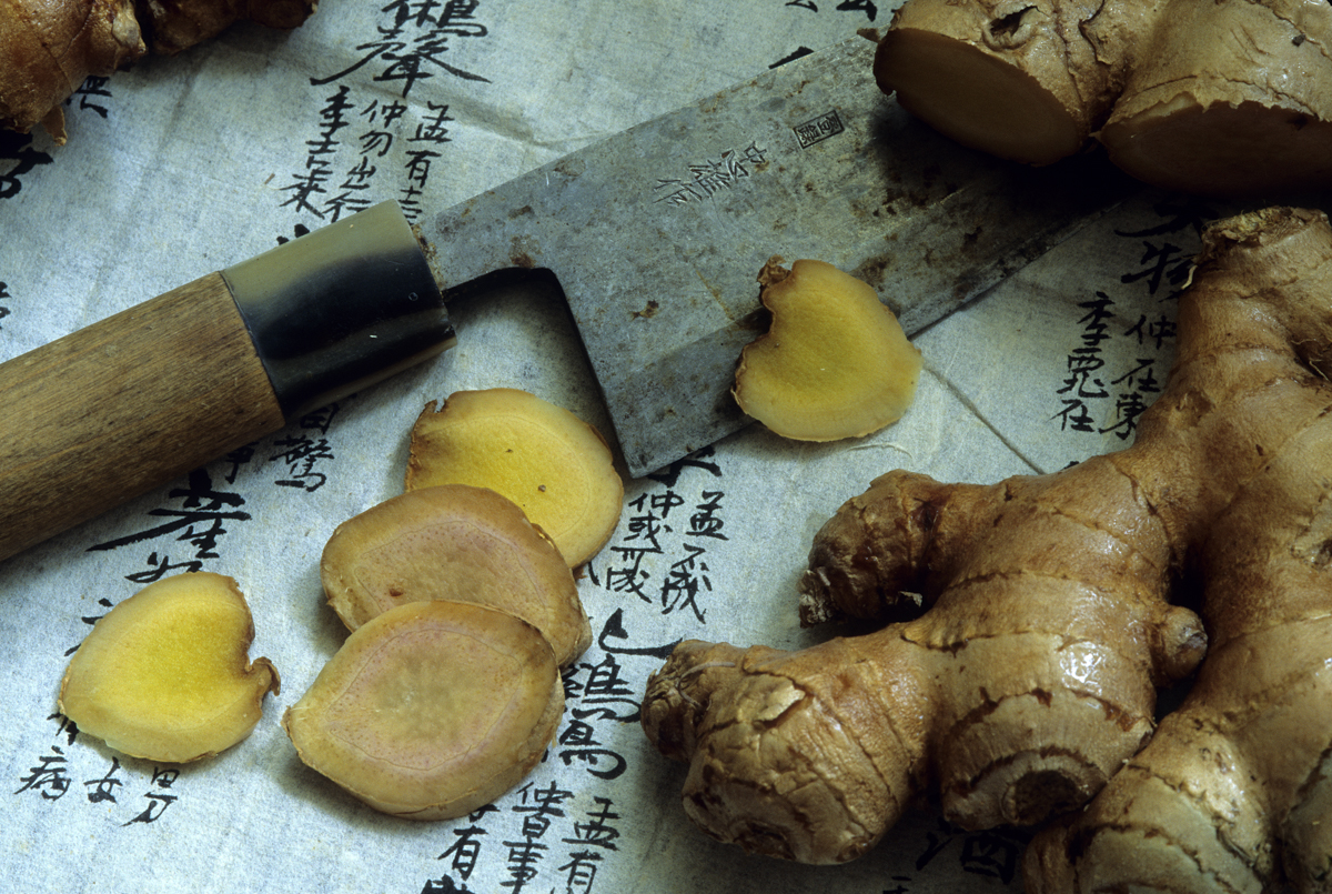 Ginger plant